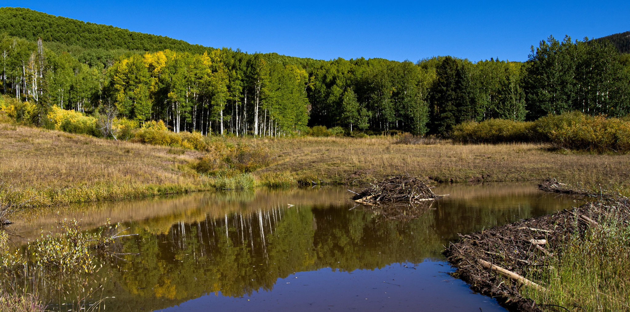 09_24_19 crested butte0569.jpg
